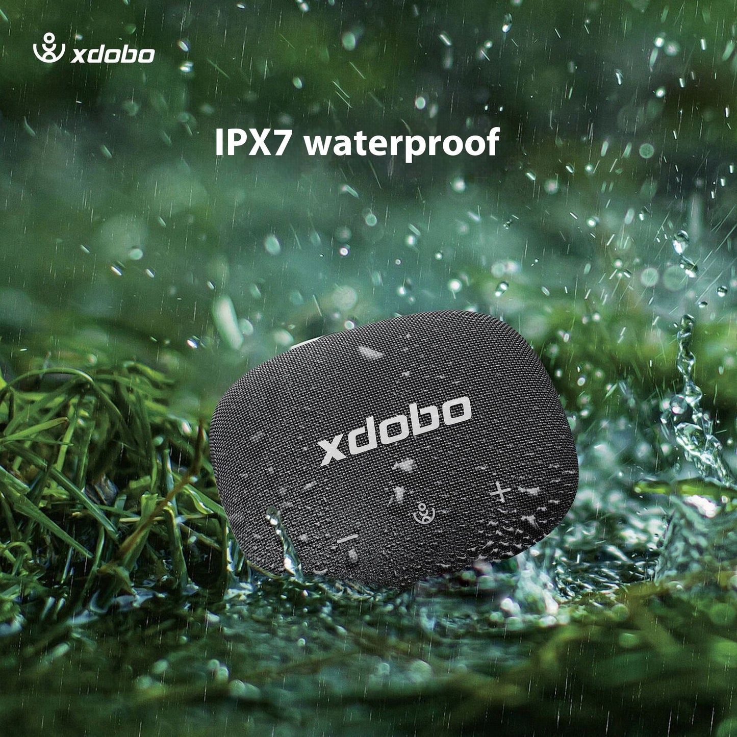 XDOBO Queen 1996 II